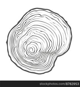 Tree ring wooden log. Circle annual stump texture and topography circle. Outline timber slice. Vector.. Tree ring wooden log. Circle annual stump texture and topography circle. Outline timber slice. Vector
