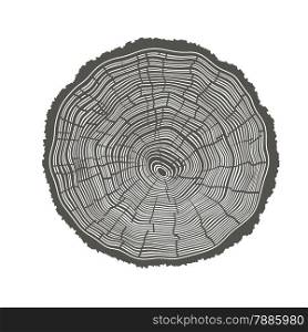 Tree Rings Illustration. Template for annual reports