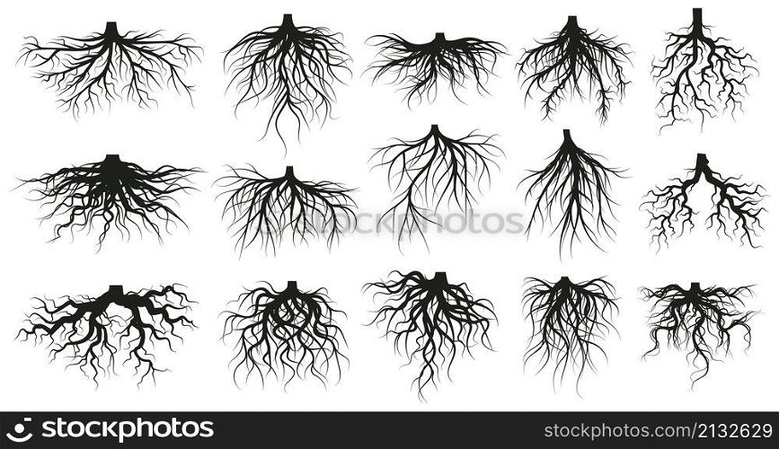 Tree root system, underground growing plants stems. Branched roots, botany plants, trees, vegetables roots vector illustration set. Underground root system. Tree underground root. Tree root system, underground growing plants stems. Branched roots, botany plants, trees, vegetables roots vector illustration set. Underground root system