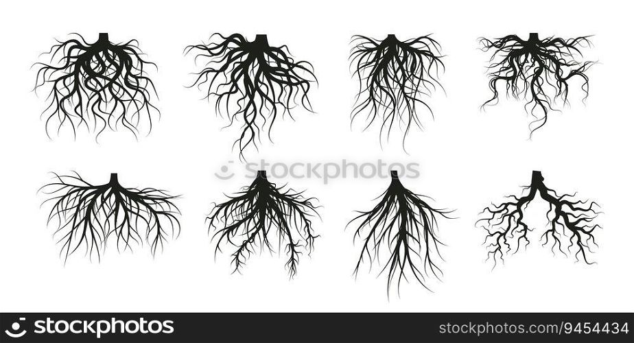 Tree root system, underground growing plants stems. Vector of underground root tree, forest silhouette illustration. Tree root system, underground growing plants stems