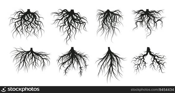 Tree root system, underground growing plants stems. Vector of underground root tree, forest silhouette illustration. Tree root system, underground growing plants stems