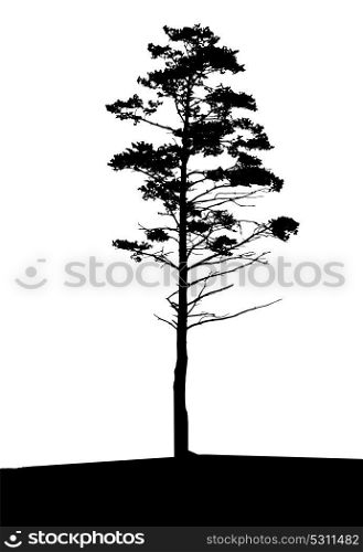 Tree Silhouette Isolated on White Backgorund. Vecrtor Illustration. EPS10