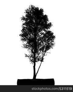 Tree Silhouette Isolated on White Backgorund. Vecrtor Illustration. EPS10