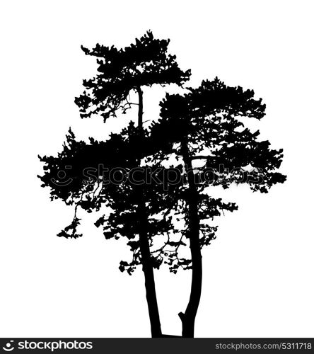 Tree Silhouette Isolated on White Backgorund. Vecrtor Illustration. EPS10