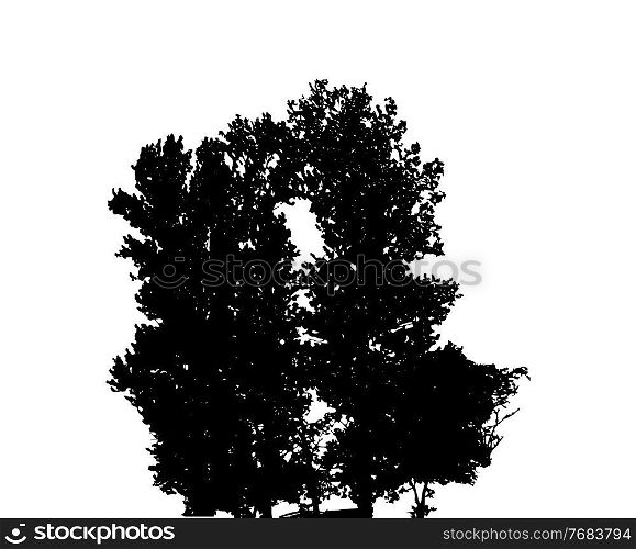 Tree Silhouette Isolated on White Backgorund. Vecrtor Illustration. EPS10. Tree Silhouette Isolated on White Backgorund. Vecrtor Illustration
