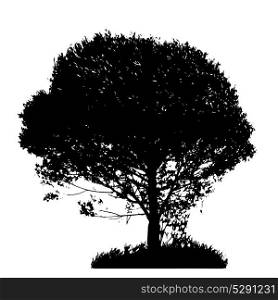Tree Silhouette Isolated on White Backgorund. Vecrtor Illustration. Tree Silhouette Isolated on White Backgorund. Vecrtor Illustrati
