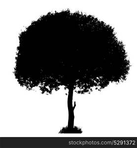 Tree Silhouette Isolated on White Backgorund. Vecrtor Illustration. Tree Silhouette Isolated on White Backgorund. Vecrtor Illustrati