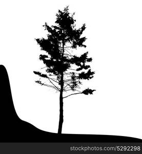 Tree Silhouette Isolated on White Backgorund. Vecrtor Illustration. Tree Silhouette Isolated on White Backgorund. Vecrtor Illustrati