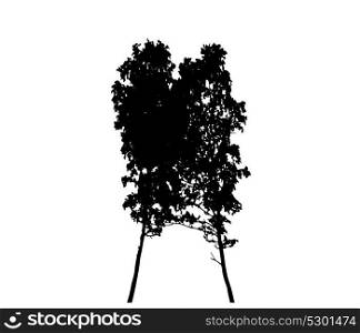 Tree Silhouette Isolated on White Backgorund. Vector Illustration. EPS10. Tree Silhouette Isolated on White Backgorund. Vector Illustration