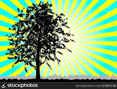 Tree silhouette on sky rays background. Blue - yellow palette. Vector illustration.