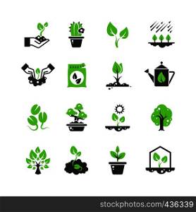 Tree sprout and plants vector icons. Seedling and hand planting pictograms. Seedling and growth tree, gardening and growing illustration. Tree sprout and plants vector icons. Seedling and hand planting pictograms