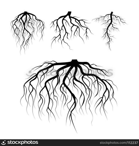 Tree Underground Roots Vector. Plant Underground Roots Set. Tree Root Black. illustration Of Plant Silhouette Root. Tree Underground Roots Vector Set. Illustration Isolated
