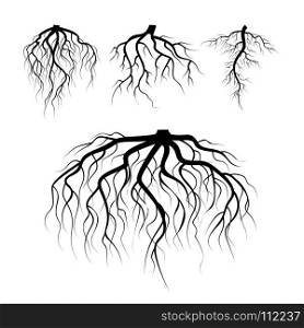 Tree Underground Roots Vector. Plant Underground Roots Set. Tree Root Black. illustration Of Plant Silhouette Root. Tree Underground Roots Vector Set. Illustration Isolated