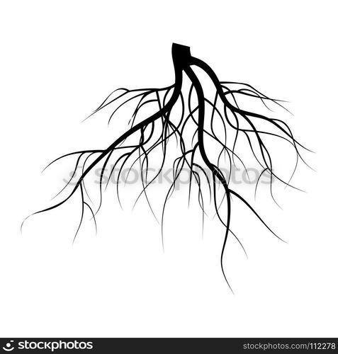 Tree Underground Roots Vector Set. Illustration Isolated On White ...