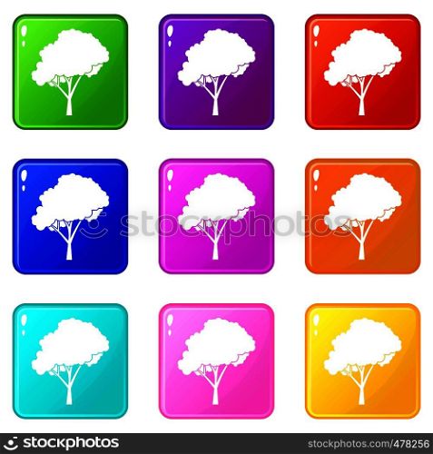 Tree with a rounded crown icons of 9 color set isolated vector illustration. Tree with a rounded crown set 9