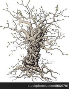 tree with beautifully randomly interlaced twigs and roots in Japanese style on a white background