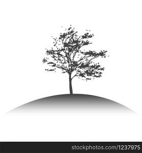 tree with fallen leaves on a hill in gray