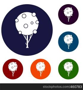 Tree with fruits icons set in flat circle reb, blue and green color for web. Tree with fruits icons set