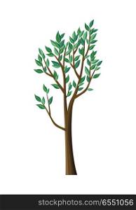 Tree with green leaves. Vector tree icon. Tree forest, leaf tree isolated, tree branch nature green, plant eco branch tree, organic natural wood illustration. Vector illustration. Tree with Green Leaves.