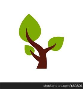 Tree with leaves. Saving plants flat icon isolated on white background. Tree saving plants flat icon