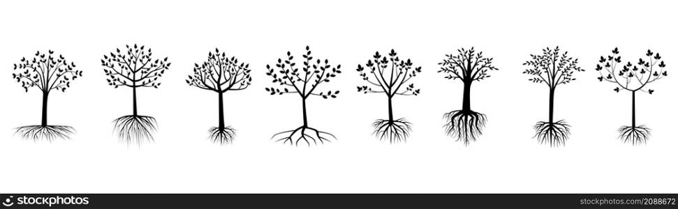 Tree with roots set. Silhouette effect. Decorative symbol. Logo art. Nature background. Vector illustration. Stock image. EPS 10.. Tree with roots set. Silhouette effect. Decorative symbol. Logo art. Nature background. Vector illustration. Stock image.