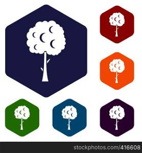 Tree with spherical crown icons set rhombus in different colors isolated on white background. Tree with spherical crown icons set
