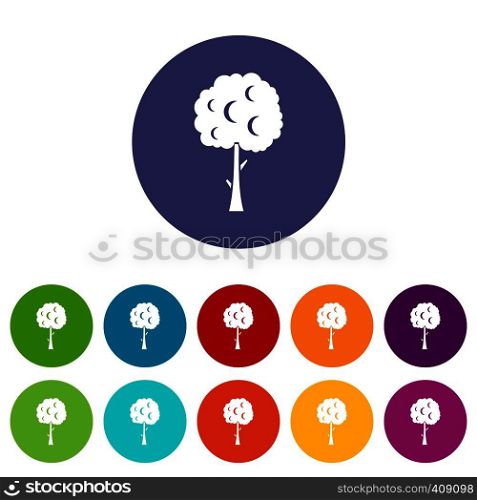 Tree with spherical crown set icons in different colors isolated on white background. Tree with spherical crown set icons