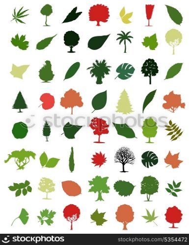 Trees and leafs. Collection of icons of trees and leaves. A vector illustration