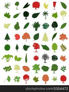 Trees and leafs. Collection of icons of trees and leaves. A vector illustration