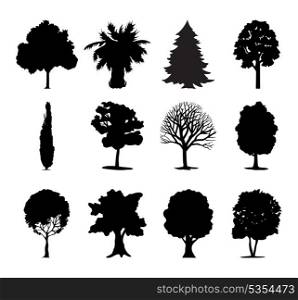 Trees icon. One-ton trees of black colour. A vector illustration