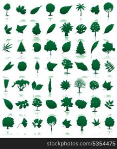 Trees icon3. Collection of icons of trees and leaves. A vector illustration