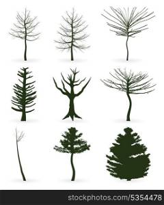 Trees icon5. Silhouettes of trees on a white background. A vector illustration