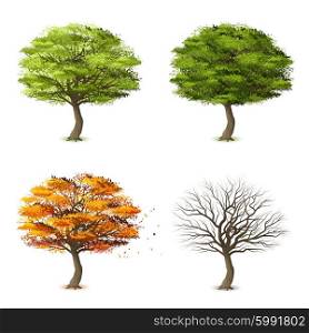 Trees in four seasons. Trees in four seasons realistic decorative icons set isolated vector illustration