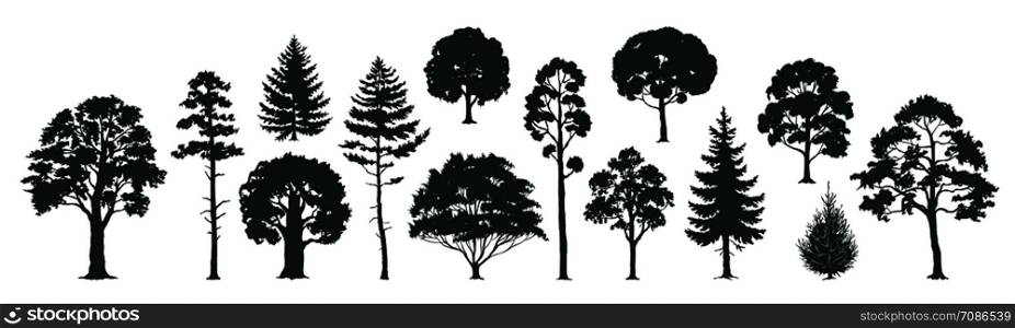 Trees silhouettes. Forest and park pines firs and spruces, coniferous and deciduous trees. Vector isolated retro images nature set. Trees silhouettes. Forest and park pines firs and spruces, coniferous and deciduous trees. Vector isolated nature set