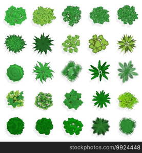 Trees top view. Green plants, bushes, shrubs and trees for landscape or architectural design. Nature green spaces vector illustration set. Different flora elements, vegetation for map or plan. Trees top view. Green plants, bushes, shrubs and trees for landscape or architectural design. Nature green spaces vector illustration set