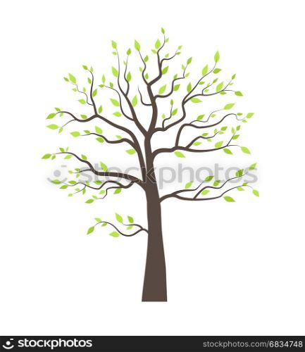 Trees with leaves. Vector illustration of a tree with leaves on a white background