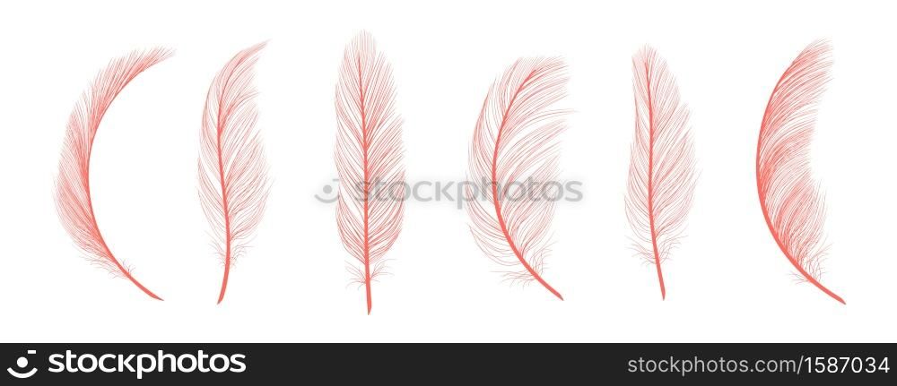 Trendy coral feathers. Vector pink fallen feathers isolated on white background. Exotic feather bird, soft and fluffy pink. Trendy coral feathers. Vector pink fallen feathers isolated on white background