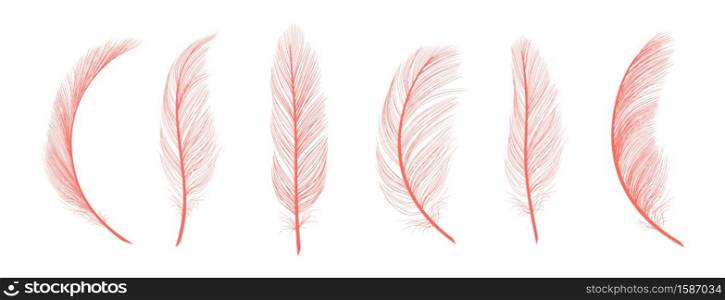 Trendy coral feathers. Vector pink fallen feathers isolated on white background. Exotic feather bird, soft and fluffy pink. Trendy coral feathers. Vector pink fallen feathers isolated on white background
