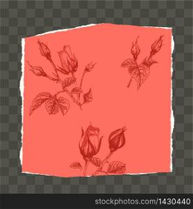 Trendy easy editable template for social media post in torn paper style. Roses flower theme Creative design background for individual and corporate web promotion, blogs. Place for photo and text. Trendy easy editable template for social media post in torn paper style. Roses flower theme Creative design background for individual and corporate web promotion, blogs