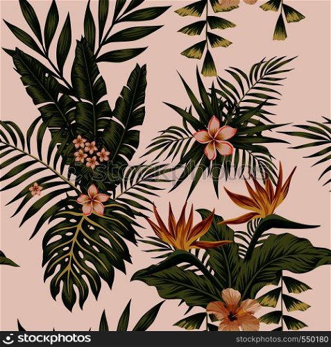 Trendy illustration Exotic flowers hibiscus, plumeria, bird of paradise and plants banana leaves femini composition