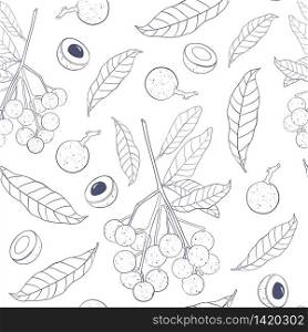 Trendy seamless pattern with longan fruit. Branch, leaves and half-vault of longan isolated on white background. Outline vector illustration for print,textile,wrapping paper,web.. Trendy seamless pattern with longan fruit. Branch, leaves and half-vault of longan isolated on white background.