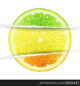 Triple citrus fruit. Lemon, lime and orange slices mixed in the original paper version. Triple citrus design elements