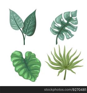 Troπcal and exotic≤aves and folia≥, isolated branches and twigs of monstera plant, banana and fern. Rainforest flora and botany, lush gree≠ry and≤afa≥of hothouse. Vector in flat sty≤. Exotic houseplants, banana≤af and monstera twig