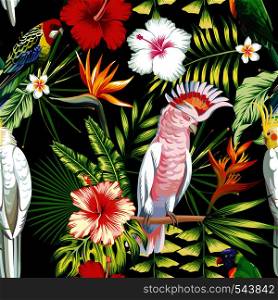 Tropic exotic multicolor birds parrot, macaw with tropical plants, banana palm leaves, flowers Strelitzia, hibiscus on a black background. Print jungle seamless vector pattern