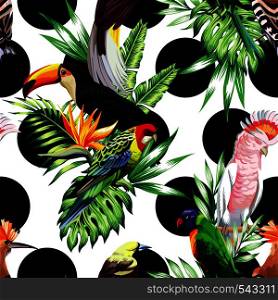 Tropic exotic multicolor birds toucan, parrot, macaw, hoopoe with tropical plants, banana palm leaves, flowers Strelitzia on a white background with black circle. Print jungle seamless vector pattern