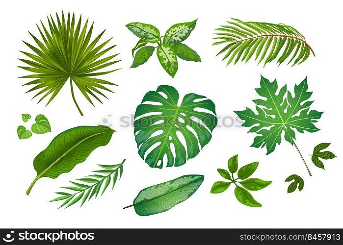 Tropic leaves in cartoon style illustrations set. Bright green exotic plants vector collection isolated on white background. Jungle foliage decoration. Botanical concept for advertisement or banner 