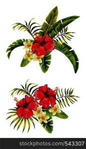 Tropic summer flower hibiscus and plumeria Seamless vector pattern with palm banana leaf and plants. Composition with flower jungle white background. Hand drawn fashion bunch exotic flower wallpaper.