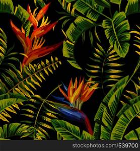 Tropic summer painting seamless vector pattern with palm banana leaf and plants. Floral background jungle bird of paradise. Trendy bunch exotic flower wallpaper.