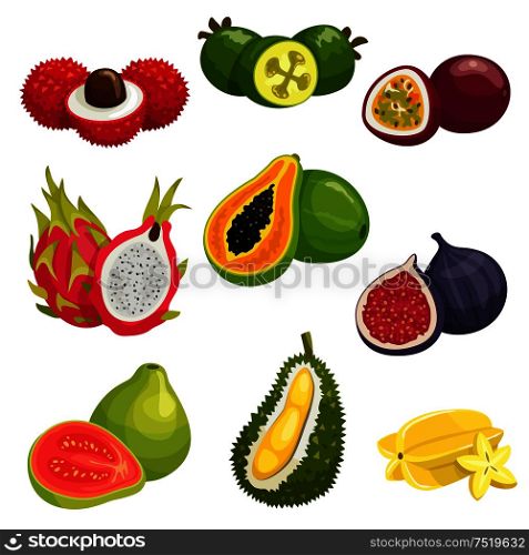 Tropical and exotic fruits isolated icons. Vector elements of lychee, dragon fruit pitaya, papaya, durian, passion fruit maracuja, carambola, fig, guava, feijoa. Tropical and exotic fruits isolated icons