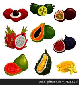 Tropical and exotic fruits isolated icons. Vector elements of lychee, dragon fruit pitaya, papaya, durian, passion fruit maracuja, carambola, fig, guava, feijoa. Tropical and exotic fruits isolated icons